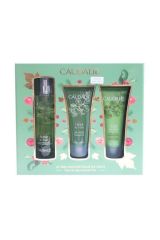 Kofre Üzüm Çiçeği Aromalı Set 3'lü