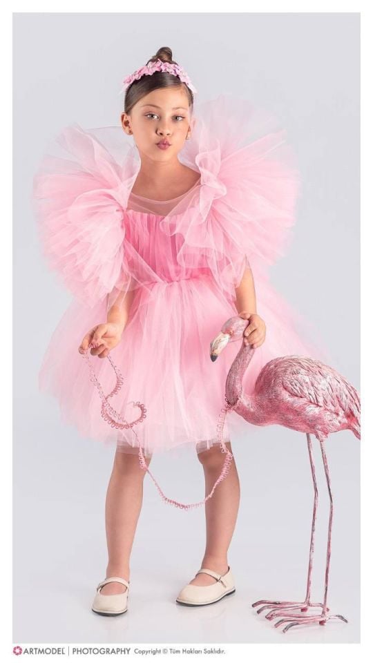 Kız Çocuk Tütü Etekli Kabarık Kollu Komotini Taçlı  Abiye Elbise PUDRA 1662