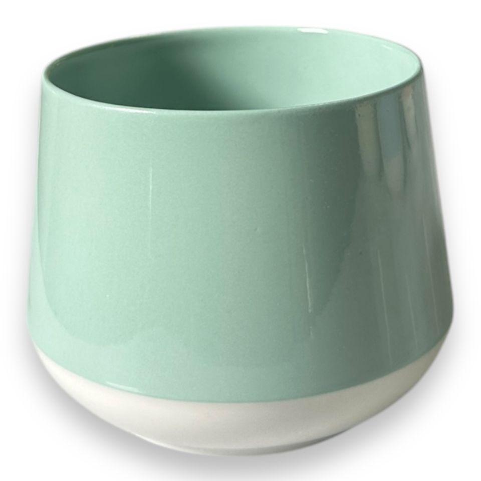 Tazza mint