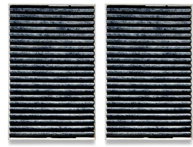 Miele DKF 31-P Aktif AirClean Filtre 2 li Set