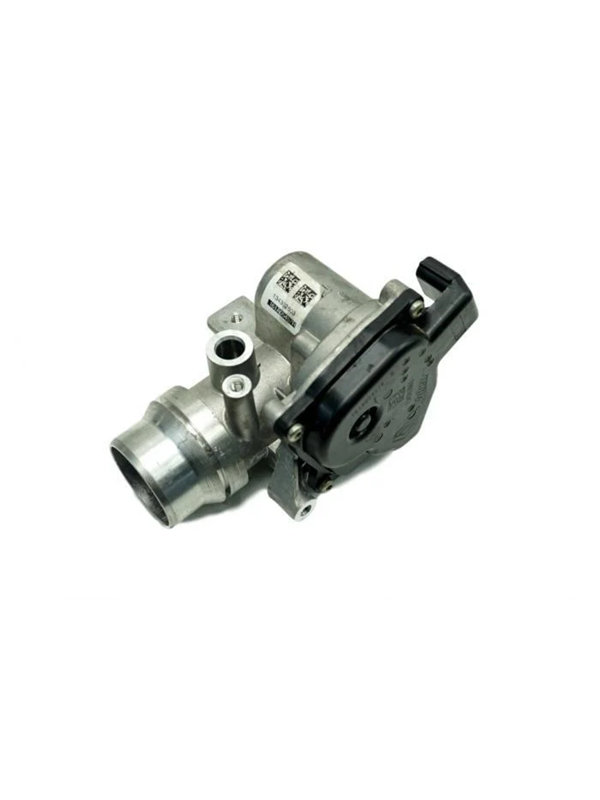 MAİS 161A05457R  HAVA KONTROL KUTUSU GAZ KELEBEĞİ DOKKER-LODGY JOY DUSTER-CLO IV