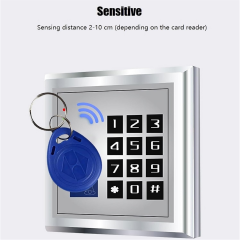 125 KHz RFID Anahtarlık