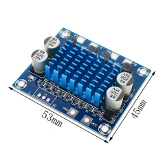 2 Kanal Dijital Amfi Modülü XH-A232