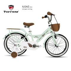 Totem Bisiklet 16 Jant  Ilgaz - BMX Çocuk Bisikleti  -V Fren - Çelik Kadro