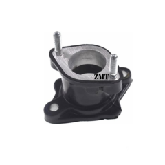 CG 200 Manifold