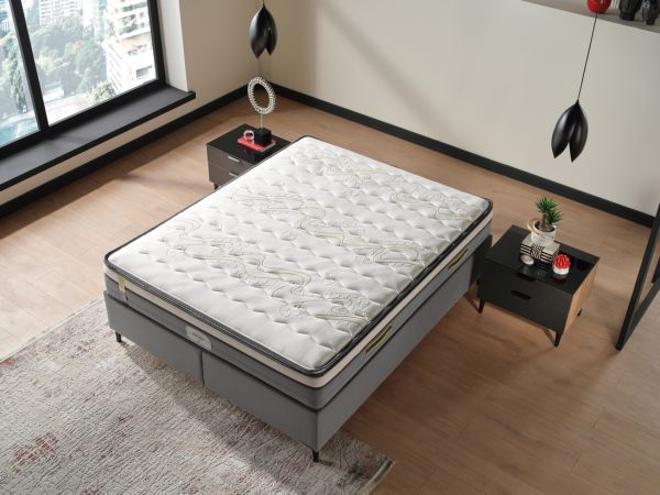 Sleepwell Energy S Mattress