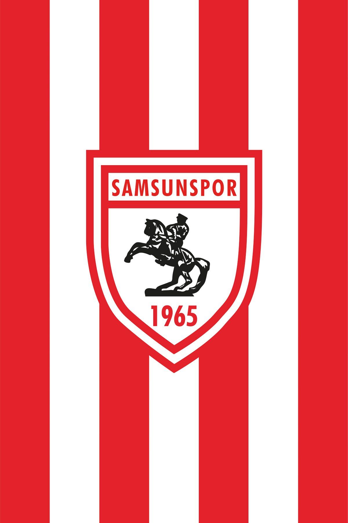 90*140 Asmalı Çubuklu Bayrak