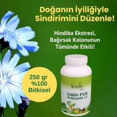 Fibrelle İnülin FOS Prebiyotik Lif - ( 250g Plastik Ambalaj ) INULIN