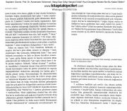 Sayıların Gizemi, Prof. Dr. Annemarie Schmimel, Hangi Sayı Dişi Hangisi Erildir? Ayın Döngüleri Neden Bizi Bu Kadar Etkiler? 292 Sayfa