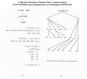 Arapça El Mantıkul Müyesser, Alaaddin Palevi