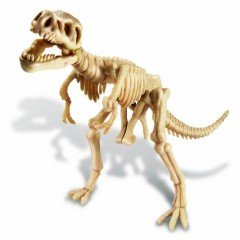 T-Rex Dinozor Kazı Seti