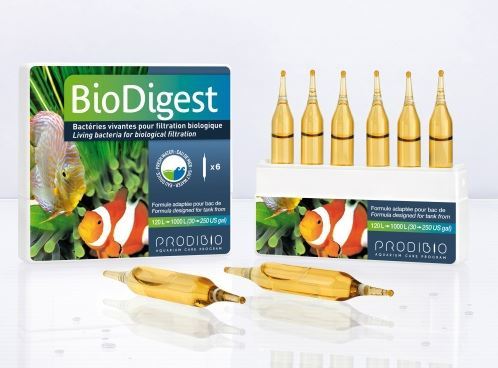 Prodibio - BioDigest 6 pcs