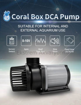 Coral Box - DCA 9000
