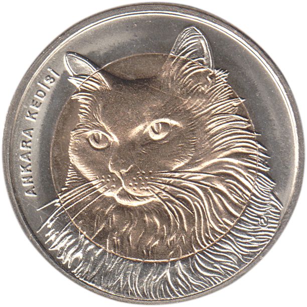 2010 Ankara Kedisi (bi-metal)