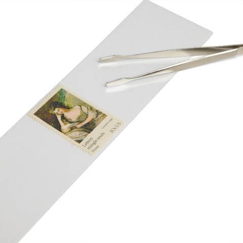 Leuchtturm Şeffaf Zeminli Havit 217x33mm Hawid