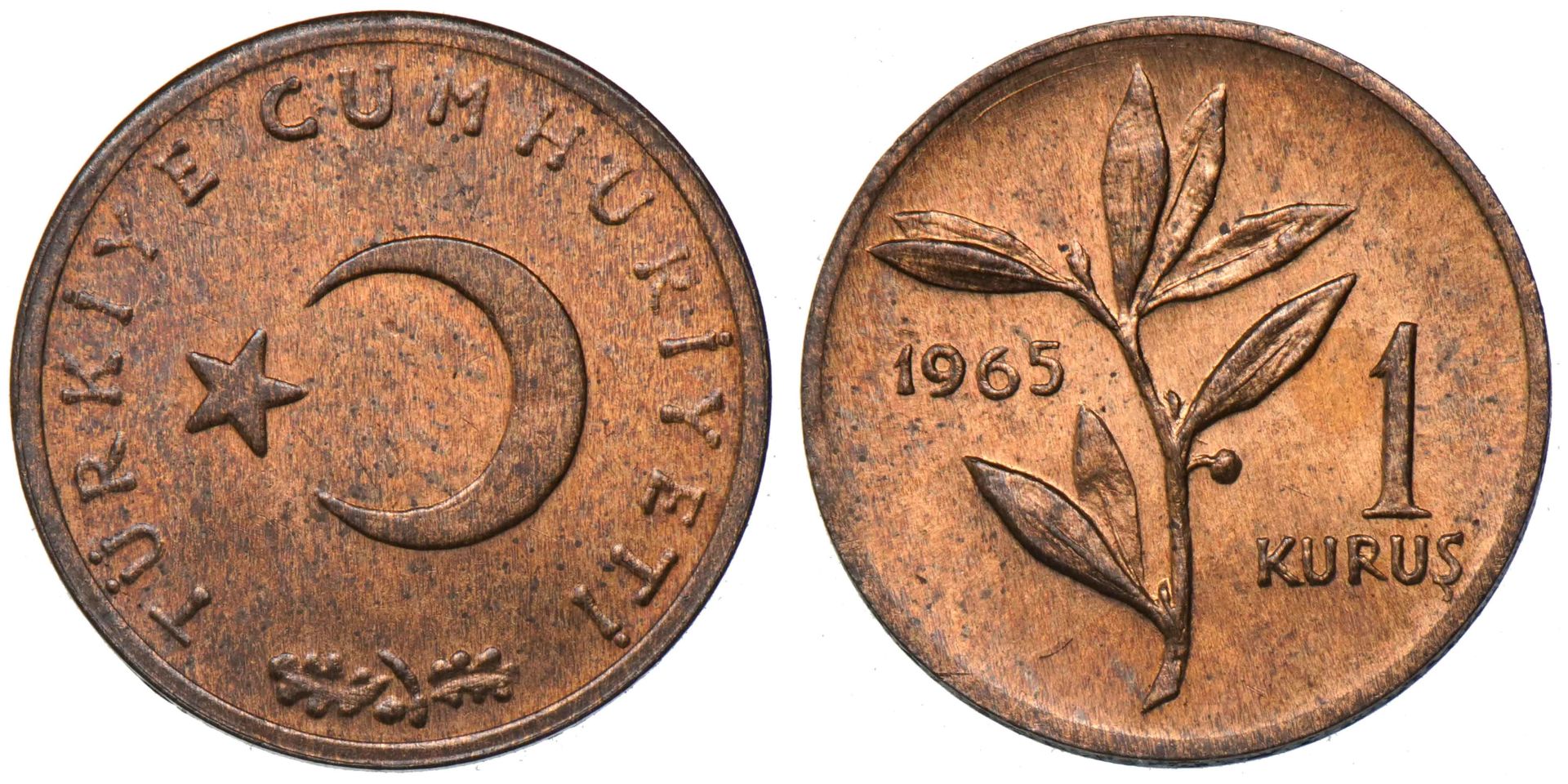 1 Kuruş 1965 ÇİL