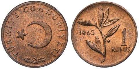 1 Kuruş 1965 ÇİL