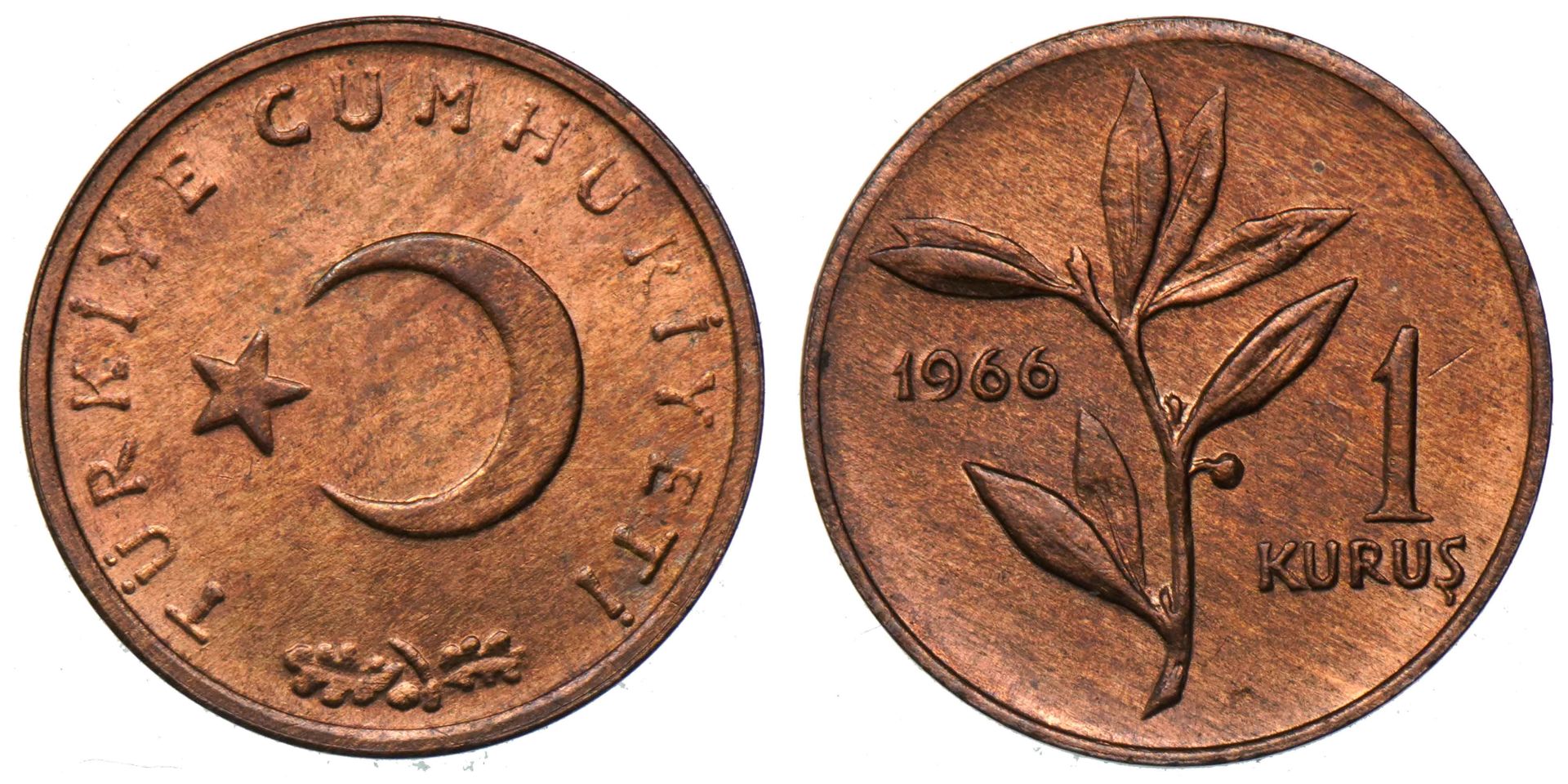 1 Kuruş 1966 ÇİL