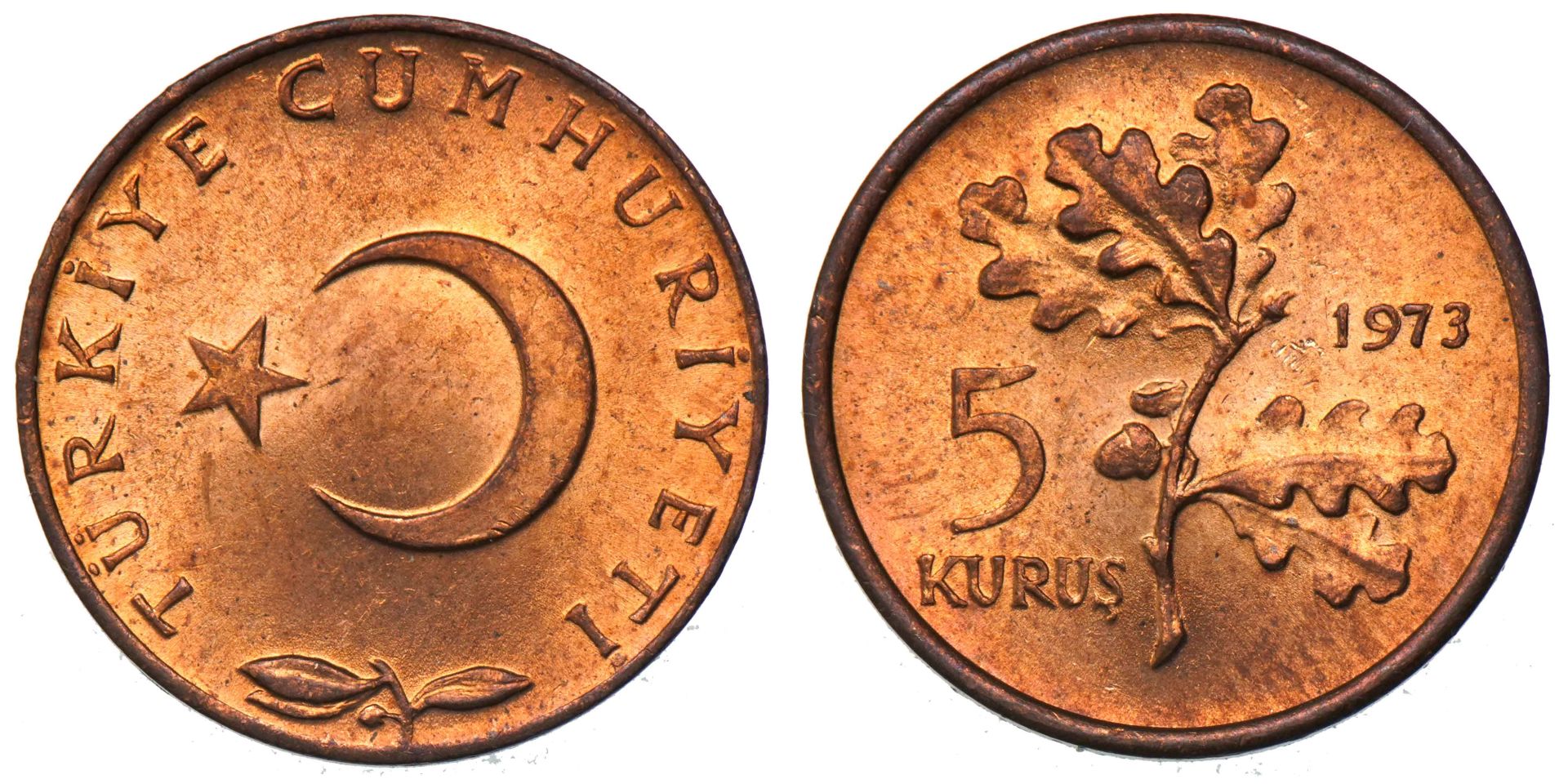 5 Kuruş 1973 ÇİL