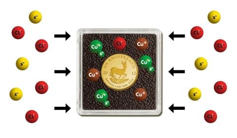 15 mm - Quadrum İntercept Kare Kapsül (6'lı paket)