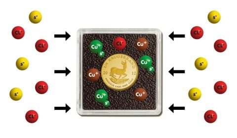 22 mm - Quadrum İntercept Kare Kapsül (6'lı paket)