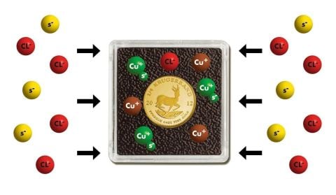 37 mm - Quadrum İntercept Kare Kapsül (6'lı paket)