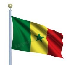 Senegal Gönder Bayrağı 50x75 cm