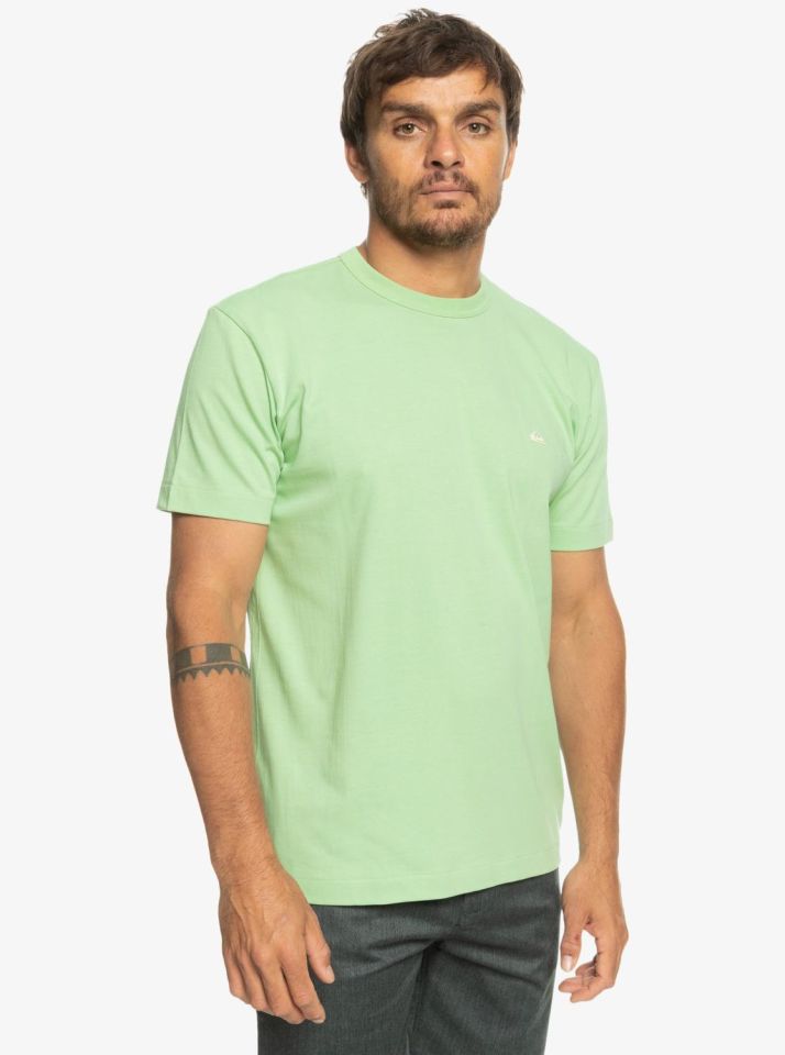 Quiksilver Essentials SS Erkek T-Shirt-EQYKT04092GFE