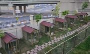 Okulca OK-26 Ahşap Hayvan Barınağı