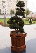 Okulca BK-5260 Ahşap Saksı