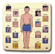 Okulca E-80015 Vücudumuz Puzzle