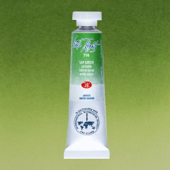 St.Petersburg White Nights Tüp Sulu Boya 10ml 716 Sap Green