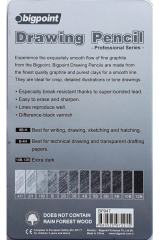 Bigpoint Metal Kutulu Dereceli Çizim Kalemi 12 Li Set