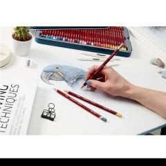 Derwent Pastel Pencils 12’li Set