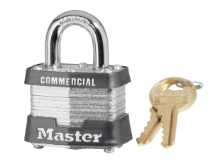 Master Lock Asma Kilit 3