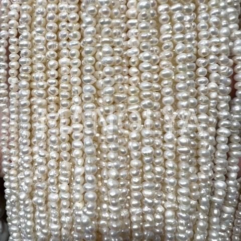 3-4mm. Kültür İncisi (no:1)
