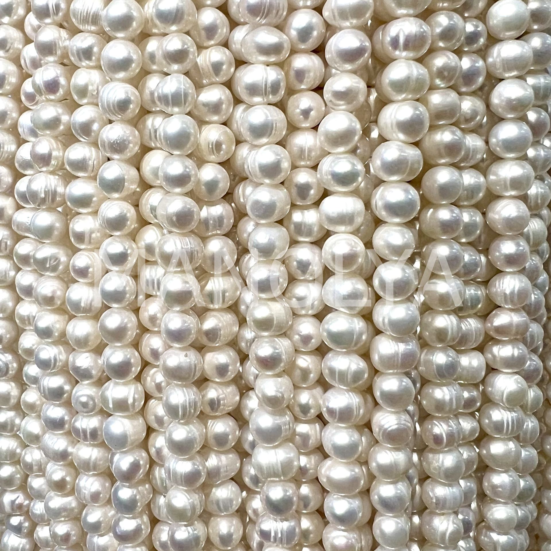 6x7mm. Kültür incisi (no:3)
