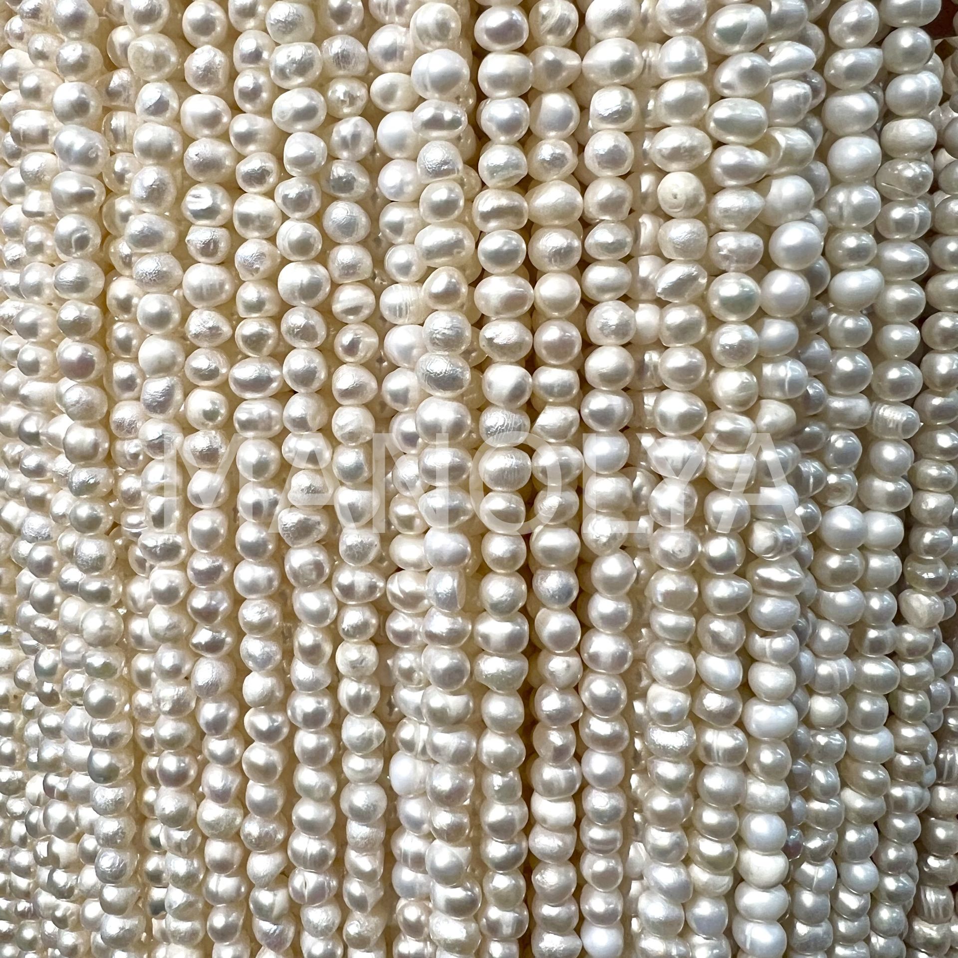 3x4mm. Kültür İncisi (no:8)