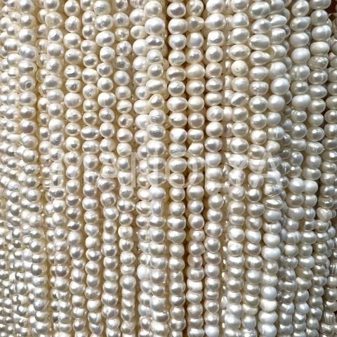 3x4mm. Kültür İncisi (no:8)