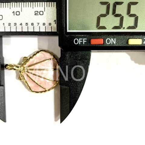2,5cm. SİMLİ MİNELİ DENİZ KABUKLARI