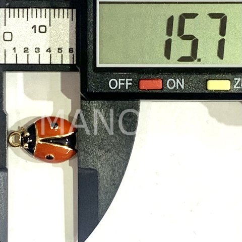 1,6cm. BÜYÜK UĞUR BÖCEĞİ