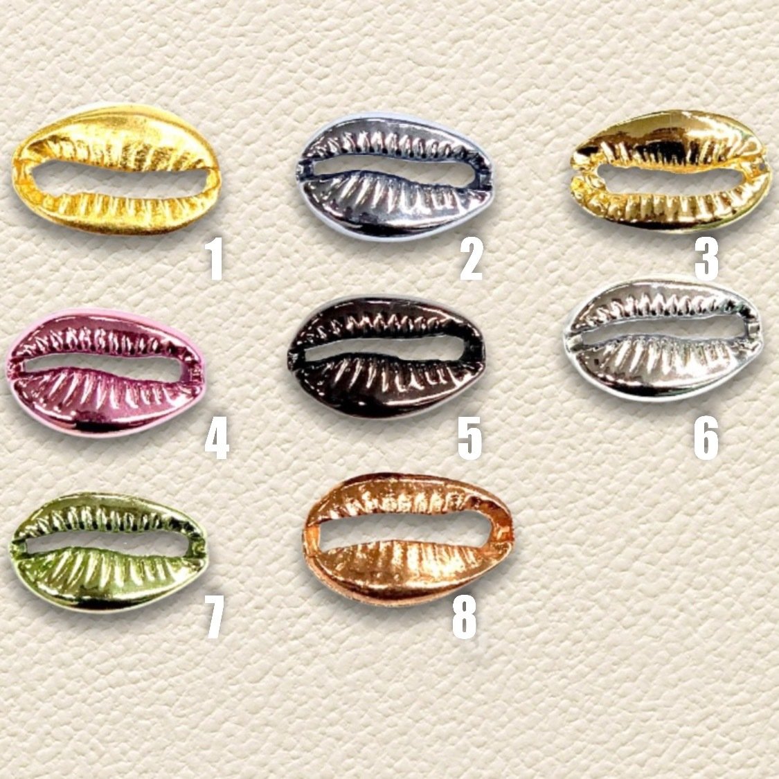 2,1cm. YASSI DENİZ KABUKLARI