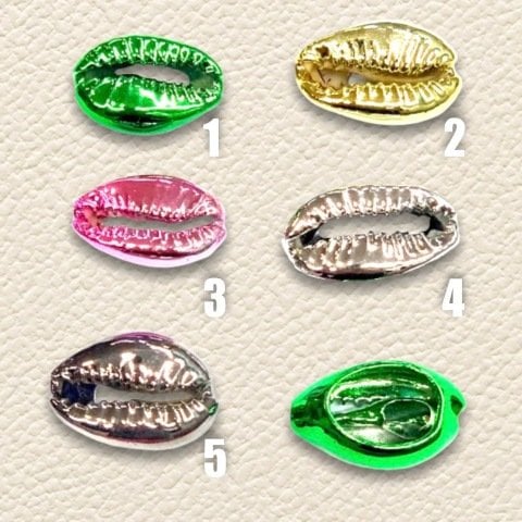 1,7cm. OVAL DENİZ KABUKLARI