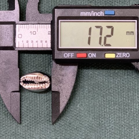 1,7cm. OVAL DENİZ KABUKLARI