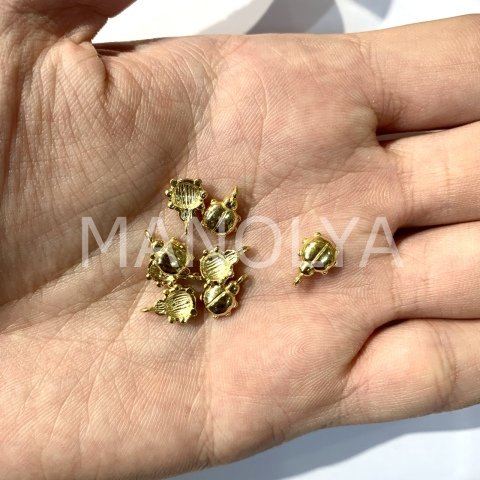 1cm. ALTIN UĞUR BÖCEĞİ