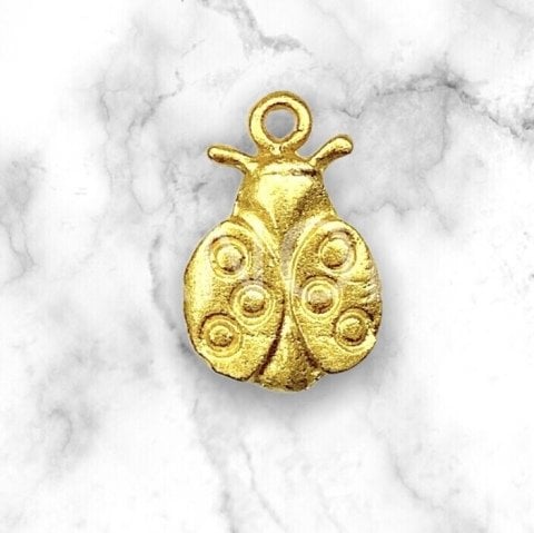 1,6cm YASSI UĞUR BÖCEĞİ