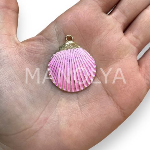 3,6cm. RENKLİ DENİZ KABUĞU