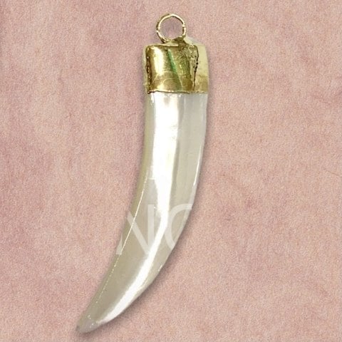 5,5x1,2cm. DİŞ SEDEF KOLYE UCU