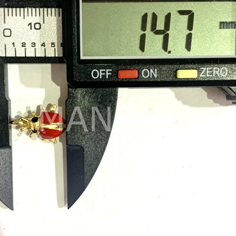 1,5cm. BÜYÜK UĞUR BÖCEĞİ