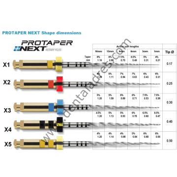 PROTAPER NEXT X1-X2-X3 (6 LI)